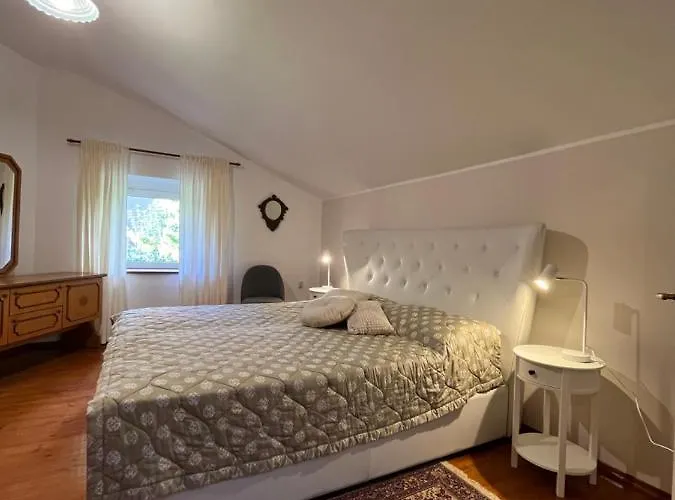 Stancic Holiday home *